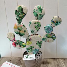 ficurinia D'amuri piante do stoffa ficurinia D'amuri piante do stoffa