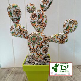 ficurinia D'amuri piante do stoffa ficurinia D'amuri piante do stoffa