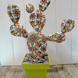 ficurinia D'amuri piante do stoffa ficurinia D'amuri piante do stoffa