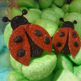 coccinelle segnaposto coccinelle segnaposto coccinelle segnaposto coccinelle segnaposto