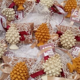 pigna portafortuna pigna portafortuna pigna portafortuna pigna portafortuna