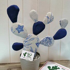 ficurinia D'amuri piante do stoffa ficurinia D'amuri piante do stoffa