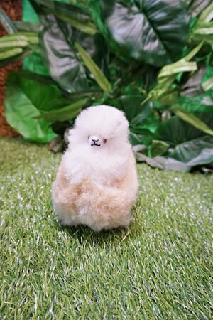 20912-peluche-piccolo