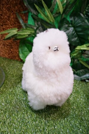 20914-peluche-grande