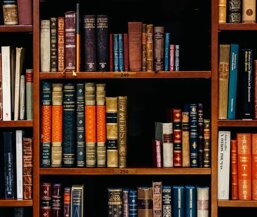 ccb16f09-352d-48a6-afa8-576ef325fe75