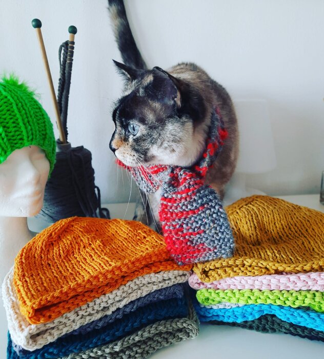 e6227f24-096b-4f1e-bb8b-0c9f427abb49