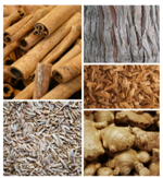 armonose-ambra-nera-da-100ml-a-1lt