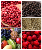 armonose-armonia-divina-da-100ml-1lt