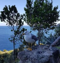 c7632b46-f39b-4085-bdd0-45eab90ad53e