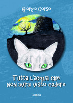 tutta-lacqua-che-non-avrai-visto-cadere