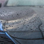 mf87-shampoo-black-wrap-500ml