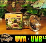 lampadina-spot-uva-uvb-30-e27-per-rettili-tartarughe-anfibi