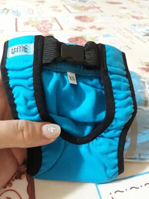 mutande-antimarcatura-per-gatto