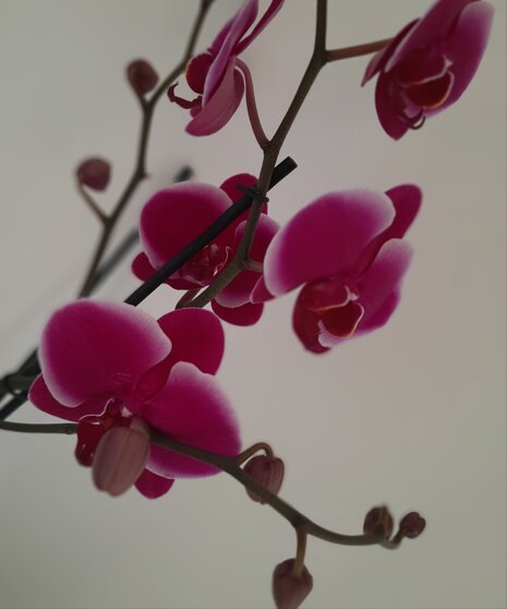 4e639895-4a25-4d92-92f8-ce35250d2804