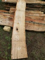 tavola-81-255-x-45-x-8