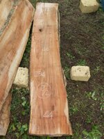 tavola-82-254-x-46-x-8