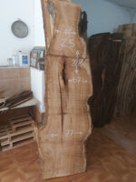 ultrasecolo-z5-228x67