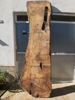 tavola-b8-62-x-89-x-280