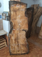 ultrasecolo-a7-204x70