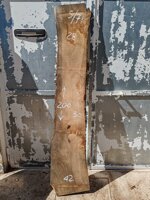 tavola-571-misure-200x30