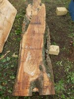 tavola-83-300-x-46-x-8