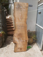 ultrasecolo-z1-228x65