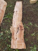 tavola-87-256-x-43-x-8