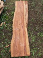 tavola-66-254-x-50-x-6