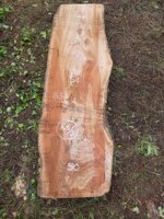 tavola-r65-183-x-54-x-6