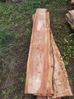 tavola-64-260-x-46-x-6