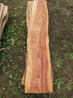 tavola-65-254-x-48-x-6