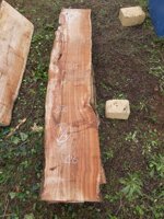 tavola-84-256-x-46-x-8