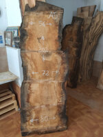 ultrasecolo-a5-202x72