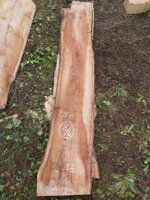 tavola-86-240-x-41-x-8