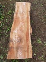 tavola-r61-180-x-53-x-6