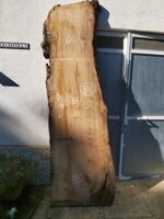 tavola-b6-62-x-86-x-278