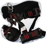 cintura-sicurezza-con-anelli-in-acciaio