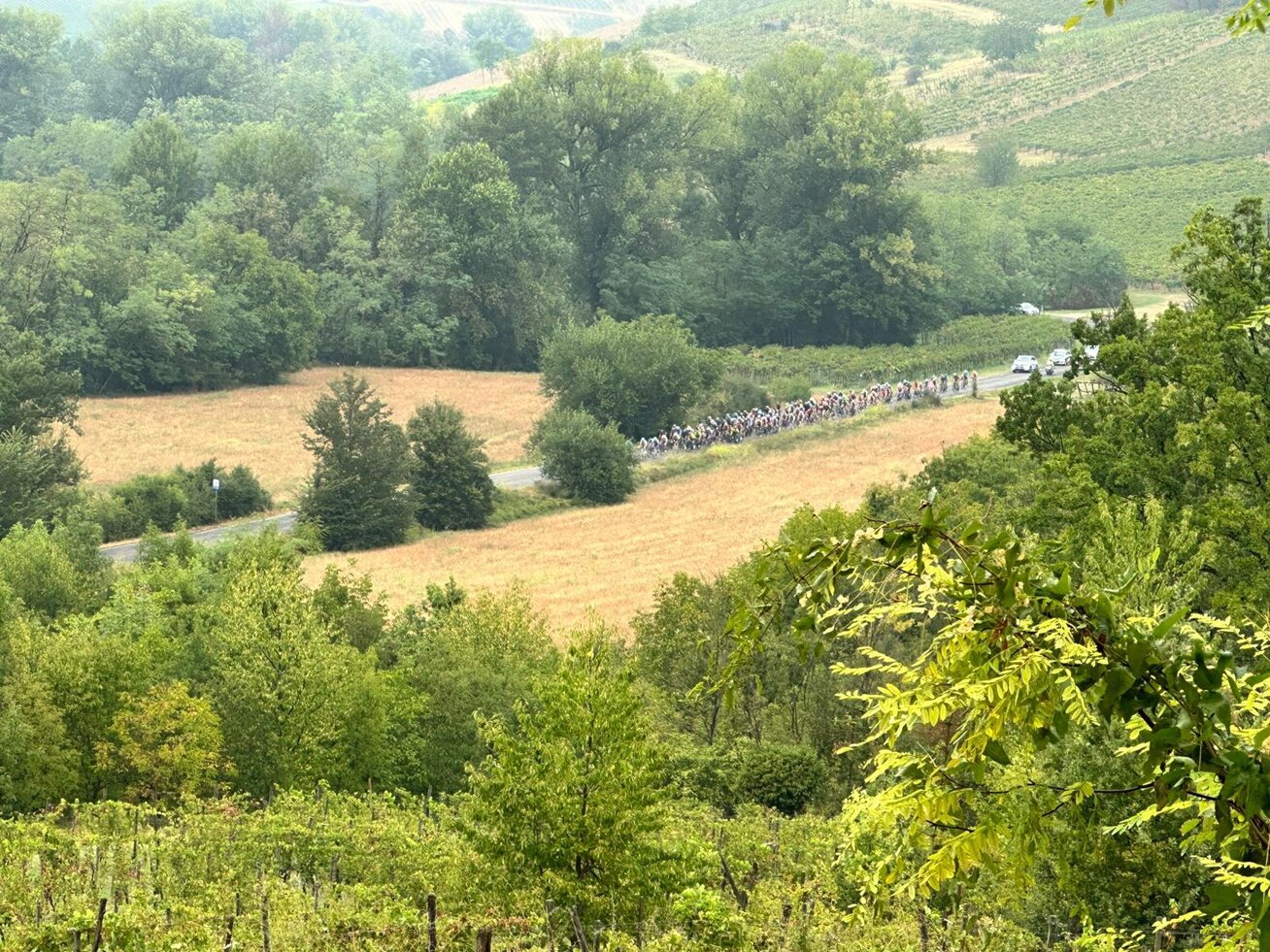 whatsapp image 2026-02-09 at 5.28.34 pm.jpeg