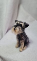 schnauzer