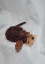 bassottino-cioccolato-accoccolato