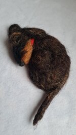 bassotto-dormiglione