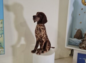 20251128_080340.jpeg 20251128_080340.jpeg