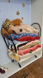 la-principessa-sul-pisello-the-princess-and-the-pea