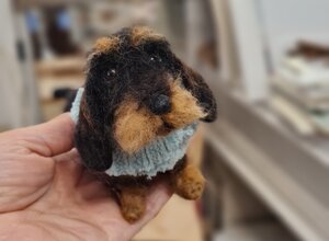 20241210_183716.jpeg 20241210_183716.jpeg