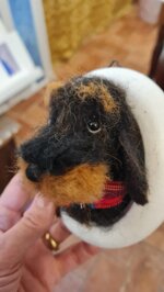 bassottino-in-cornice-bianca-piccola