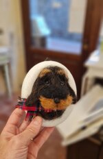 bassottino-in-cornice-bianca-piccola