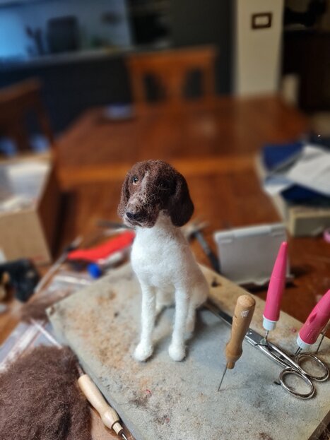 20250804_202410.jpeg 20250804_202410.jpeg