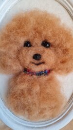 barboncino-in-cornice