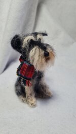 schnauzer