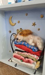 la-principessa-sul-pisello-the-princess-and-the-pea